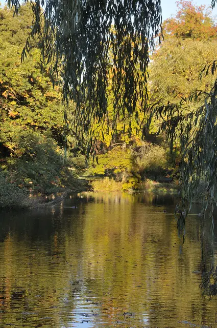 Der Georgengarten ist auch im Herbst schön