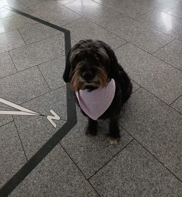 Luna, 5 Jahre | Foto: Privat