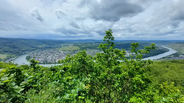 ... bei Bernkastel-Kues 
