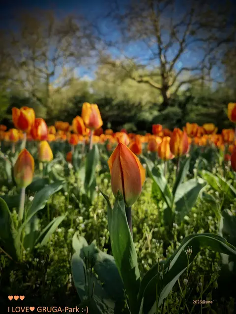 ORANGE
ORANGE
ORANGE

♥♥♥ 
FrühlingsFarbe

April 2026@ana´