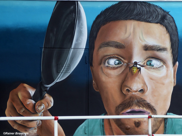Top Graffiti | Foto: ©Rainer Bresslein - Wattenscheid
