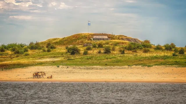 Das Fort Pannerden wurde von 1869 bis 1872 in der Gabelung von Pannerdens-Kanal (Niederländisch: Pannerdensch Kanaal) und Waal, als eines der größten Forts der Niederlande, erbaut. Es sollte als Sperrwerk gegen einfallende Truppen dienen, die über Rhein und Waal zur Festung Holland, hinter der Nieuwe Hollandse Waterlinie, vorstoßen wollten. Außerdem sollte verhindert werden, dass der Pannerdens-Kanal abgedämmt werden konnte und die Wasserlinie somit ohne genügend Wasser wäre.