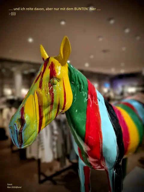 ...in SOEST in einem
MODE/Bekleidungs-KAUFHAUS entdeckt

:-))))))))))))))
Quietsche BUNT 
grinZ

SCHÖNEN SAMSTAG
möge dieser so BUNT wie dieses Pferd sein

Soest, Mai 2026@AnastasiA
