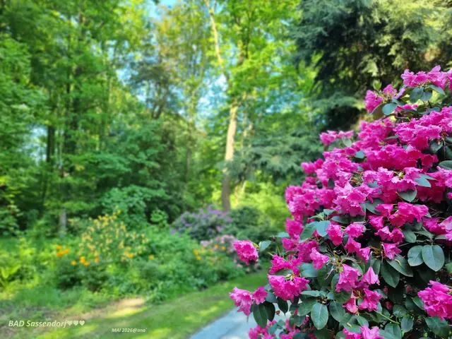 EINEN
schönen
sonnigen
SAMSTAG
wünsche ich
allen
myHeimatlern´

:-))))))))))))))))))))))))

FOTO aus Bad Sassendorf
Mai 2026@AnastasiA
♥