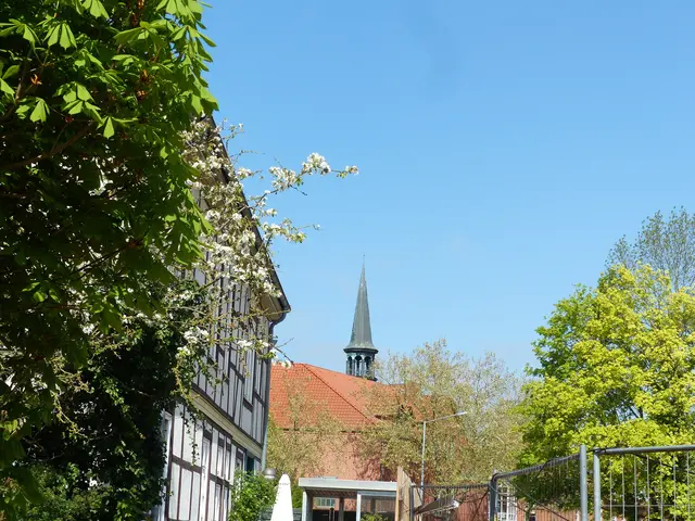 Foto: N. Käse
