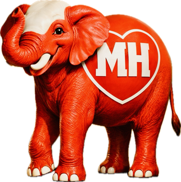 Müli ist ein roter Elefant und das offizielle Maskottchen der Ruhrtalstadt Mülheim an der Ruhr.Entworfen wurde die Figur von dem Designer Andreas Ingramm. Müli soll als freundlicher, starker und neugieriger Botschafter für die Stadt stehen. Das auffälligste Merkmal des Elefanten ist ein großes weißes „MH“-Herz auf seiner Seite, das symbolisch für das „starke Herz“ Mülheims steht.