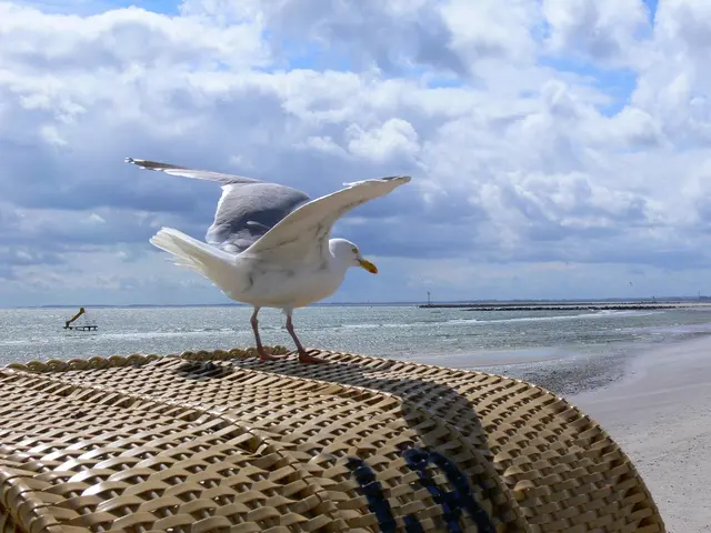 Eines meiner Lieblingsbilder aufgenommen am Südstrand von Fehmarn | Foto: Günter Presnitz