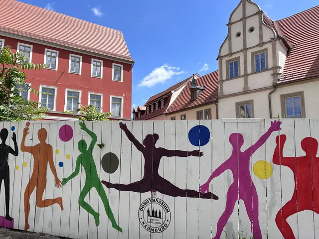 Ein Bauzaun im Rahmen des Kunstunterrichts gestaltet von Schülerinnen und Schülern des Naumburger Gymnasiums (8. Klasse).