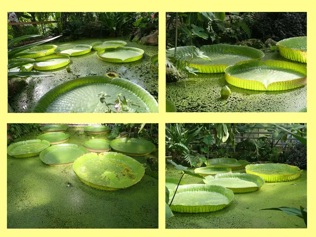 entdeckt im Bot.Garten Münster
