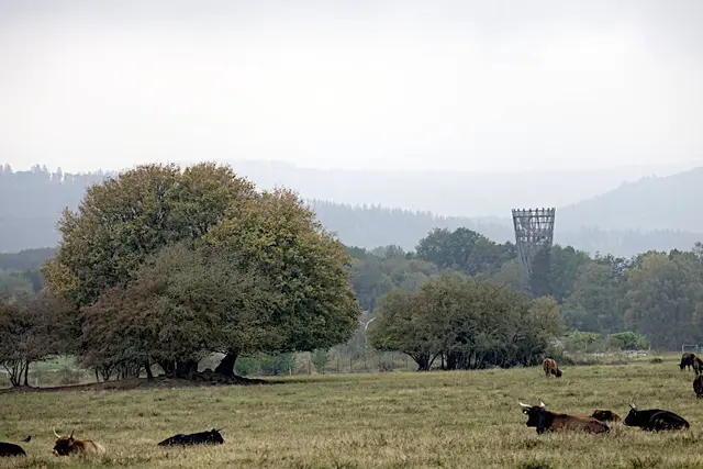 Fotografie. Fotografiert in Foto Technik scharf / unscharf von einer Landschaft in Deilinghofen, Hemer. | Foto: Jörg Schubert - #schubertj73 