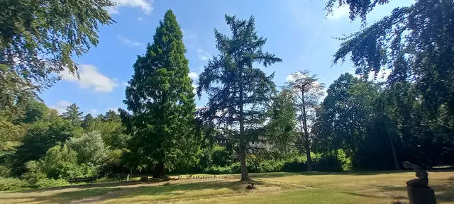 Schnappschuss Terrassenfriedhof Essen-Schönebeck vom 9.7.26