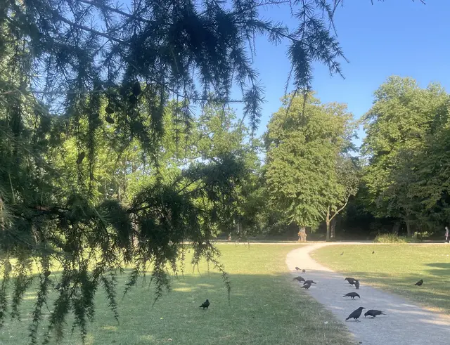 Hier links an Baum habe ich gesessen und die ganzen Fotos geschossen. Hatte aber nichts zum futtern dabei…

Auf jeden Fall war es am Morgen noch einigermaßen auszuhalten und ich habe den Moment der Ruhe sehr genossen.