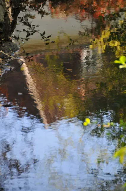 Wasserspiegelung