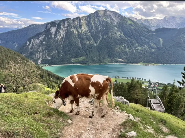Hat das nicht was von einem Kalenderblatt was von Kathrin auf ihrer Wanderung entdeckt wurde.  | Foto: K. Dorsch 