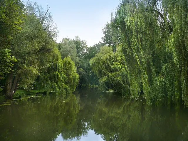 Der Fluss Leine