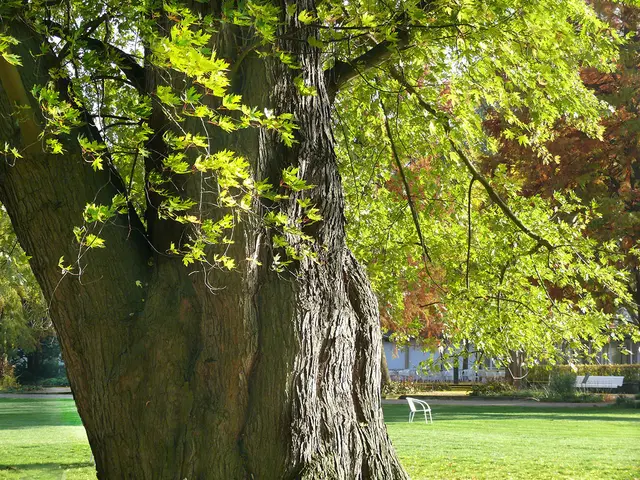 Im Stadtpark an der Stadthalle