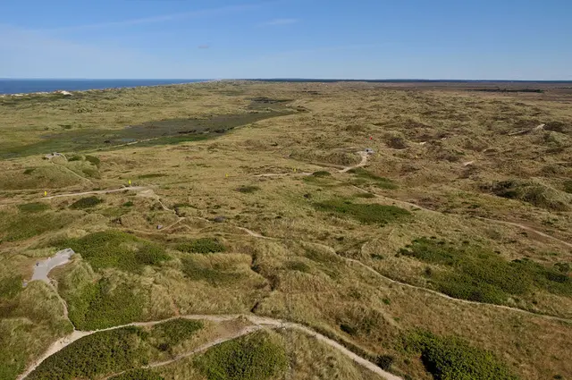 Dünenlandschaft beim Hennestrand
