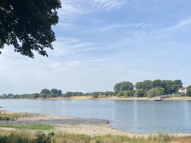 Rhein ohne Wasser 