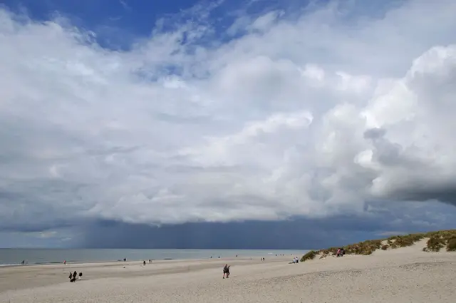 Küstenlandschaft von Jütland, am Hennestrand