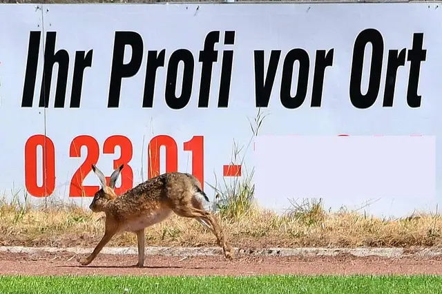 gesehen in Holzwickede