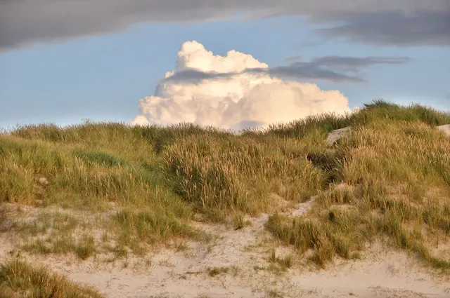 Diese Wolke türmte sich hinter einer der Dünen vom Henne Strand
