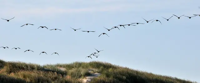 Über den Dünen von Henne Strand