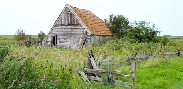 Szenerie auf Texel (NL) in der Nähe von Den Hoorn, am Watermolenweg