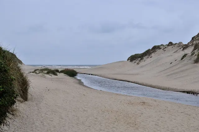 Henne Strand, Dänemark