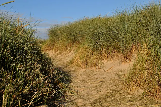 am Henne Strand in Dänemark