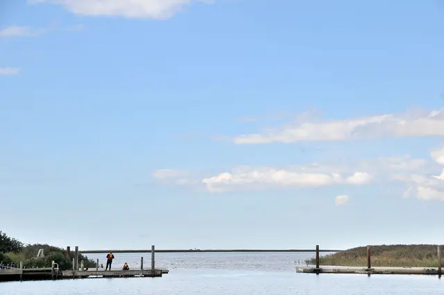 am Ringkøbing Fjord in Westjütland, Dänemark. 