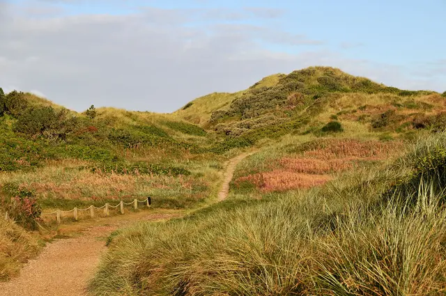 in der Nähe vom Hennestrand