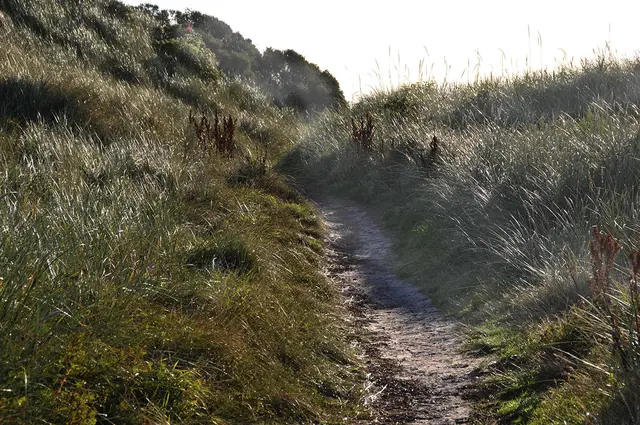 Hennestrand, Dänemark