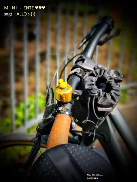 ... bei einem
richtig netten Bummel
durch SOEST (Lippetal) ...
im MAI 
entdeckte ich spontan ne´ kleine
QUIETSCHE-Ente an einem
geparkten Fahrrad-Lenker´ 

:-))) sooo süß:-)
fand ich einfach nett:-)

....

Mai 2026@AnastasiA