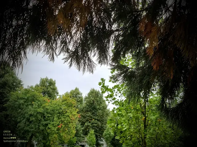 ...ein bisschen
SONNE
ein bisschen
REGEN
angenehme
Temperaturen 
bis maximal 23
zarter Wind

SPÄTSOMMER in Essen

2026@AnastasiA