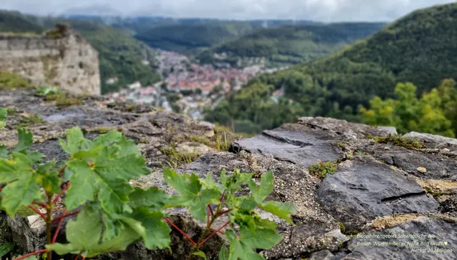 2024
Herbst
irgendwie wo auf ner´ kleinen Wanderung
auf der Schwäbischen ALB, Nähe Bad Urach...

♥♥♥

Mit WEITBLICK in die NEUE Woche:-)

Passt auf Euch auf!

2024@AnastasiA