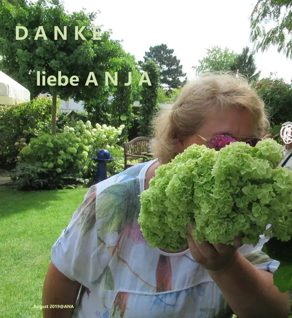 ANJA
aus Essen♥
Unsere Garten-Königin:-)

ich war schon einige Male bei Anja S. 
aus Essen-Haarzopf/Fulerum im GARTEN,
wenn sie an der OFFENEN GARTENPFORTE teilnahm!

Wundervoll♥

Hier ein Bild aus 2019
Liebe Anja, auch, wenn Du nicht bei 
my heimat mit´ mischt, ich möchte Dir mal´
offiziell DANKE sagen♥♥♥

AUGUST 2019@AnastasiA