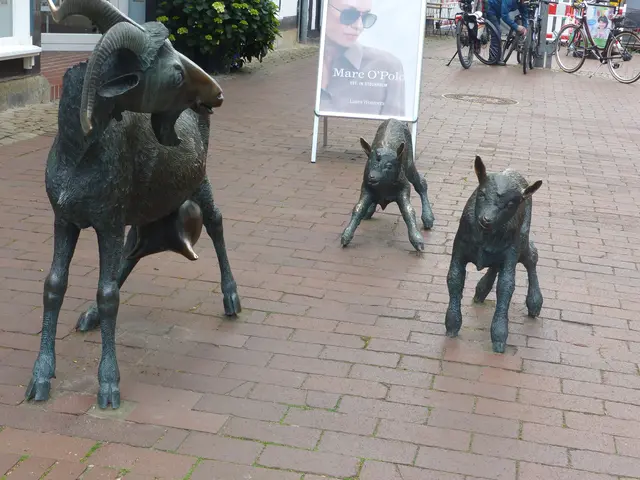 Die bronzenen Ziegen in der Fußgängerzone von Wunstorf sind ein Symbol für die historische Bedeutung der Stadt als Ackerbürgerstadt. Sie verweisen auf die traditionelle Rolle der Ziegenhaltung in Wunstorf und stammen aus derselben Gießerei wie andere historische Figuren in der Stadt.

Quelle: Wunstorfer Auepost | Foto: N. Käse