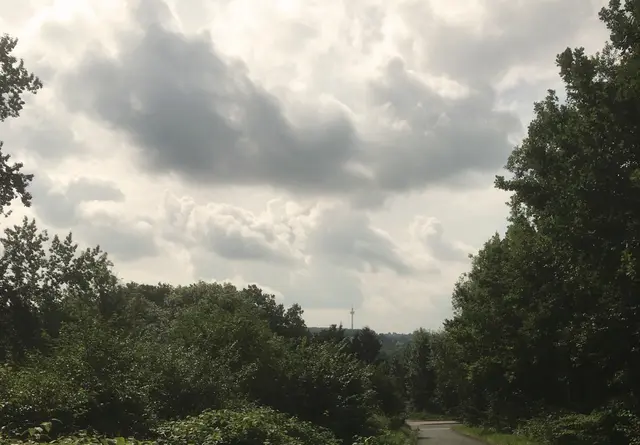Wie weiße Pinselstriche auf sanftem Blau: Ein Blick nach oben schenkt uns Momente der Stille und lässt die Gedanken für einen Augenblick davonschweben.