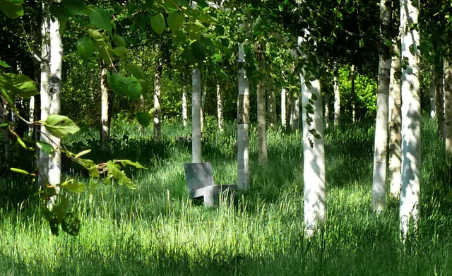 Steinstühle zwischen den Bäumen: Ist das Kunst oder kann man da sitzen?