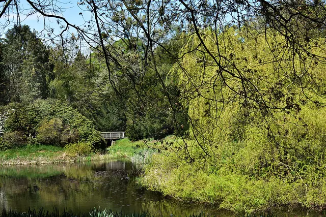 Der Stöckener Friedhof ist auch ein Landschaftspark mit kleinem See