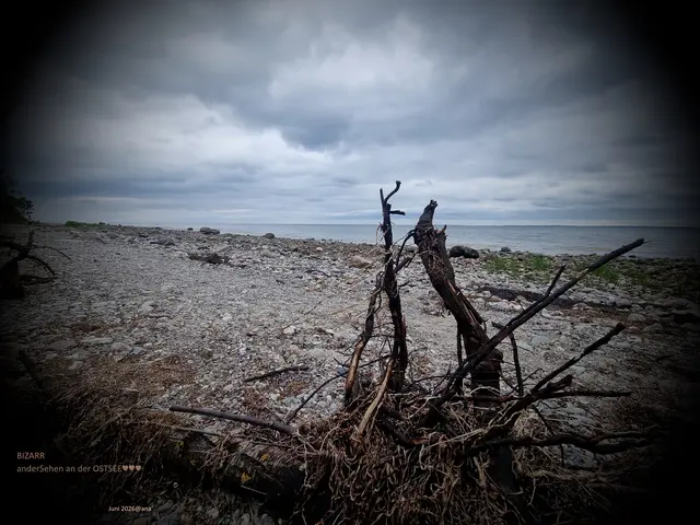 BIZARRES, 
fast schon düsteres Konstrukt...

was mag (gesellschaftspolitisch) 
so alles noch auf uns zu kommen ... ?!?

Gedanken ...

Bild entstand im JUNI 2026 an 
der OSTSEE bei Boltenhagen♥

@AnastasiA



