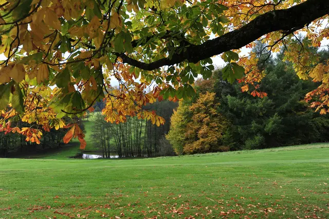 "Der Herbst ist des Jahres schönstes farbiges Lächeln." (Willy Meurer) | Foto: Günter Presnitz
