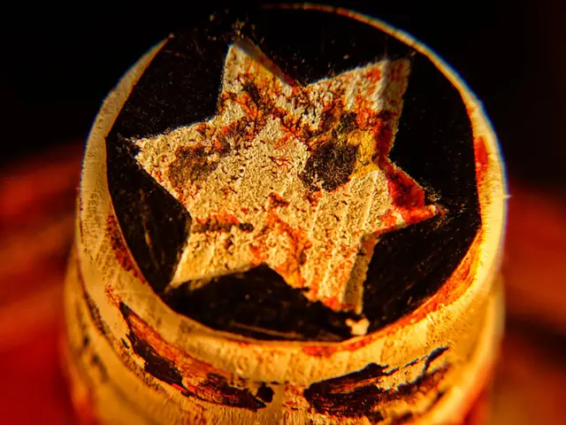 Makrofotografie, Fotografie. Fotografiert in Makro Technik scharf / unscharf von einem Stern. | Foto: Jörg Schubert - #schubertj73 