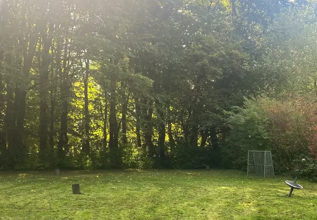 Ein ruhiger Augenblick im Grünen: Das warme Sonnenlicht bricht sich in den Baumkronen über dem Spielplatz.