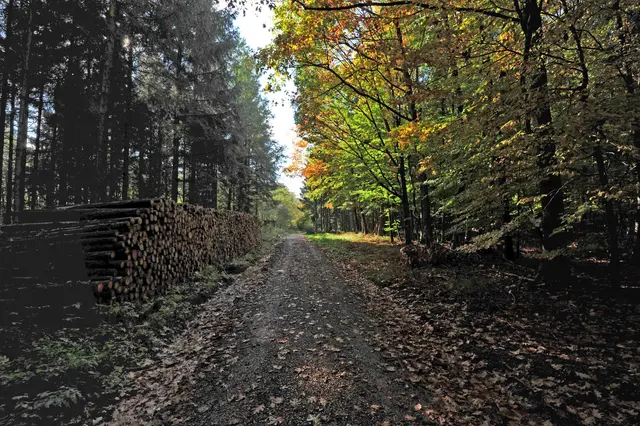 „Der Oktober ist eine Sinfonie aus Beständigkeit und Wandel.“ ( Bonaro W. Overstreet) | Foto: Günter Presnitz