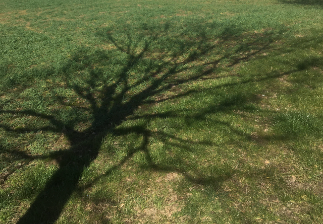 Ein flüchtiger Augenblick der Ruhe, festgehalten im Spiel von Licht und Schatten.