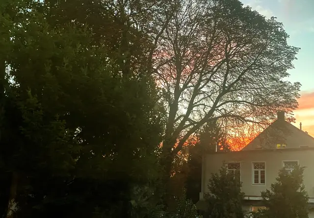 Herbststimmung am frühen Morgen. | Foto: Winfried Paltian