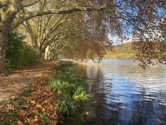 So langsam bietet sich täglich ein anderes Bild am See
(Haus Scheppen in Essen) | Foto: Umbehaue