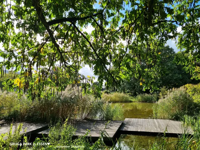 SONNIG-LEUCHTENDE
grüne STIMMUNG ...
im Essener´ GRUGA-Park
im September 2026


@AnastasiA