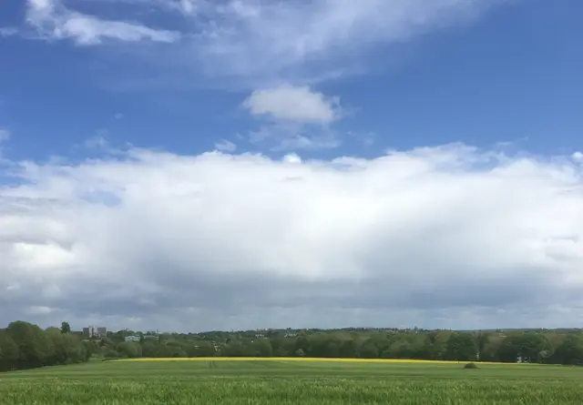 Frisches Grün und leuchtende Akzente unter ziehenden Wolken. Die Natur erinnert uns daran, wie befreiend die Einfachheit eines offenen Horizonts sein kann.